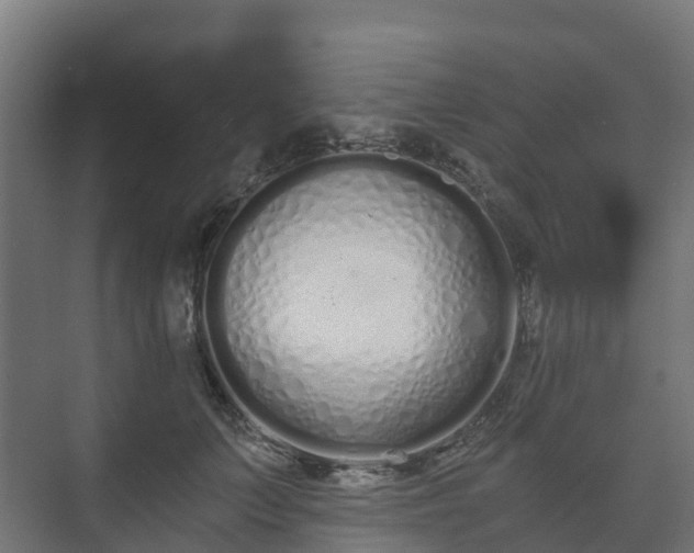 X0000073510703200608071056