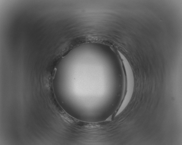 X0000073510712200608071055