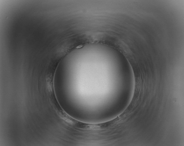 X0000073510719200608071055