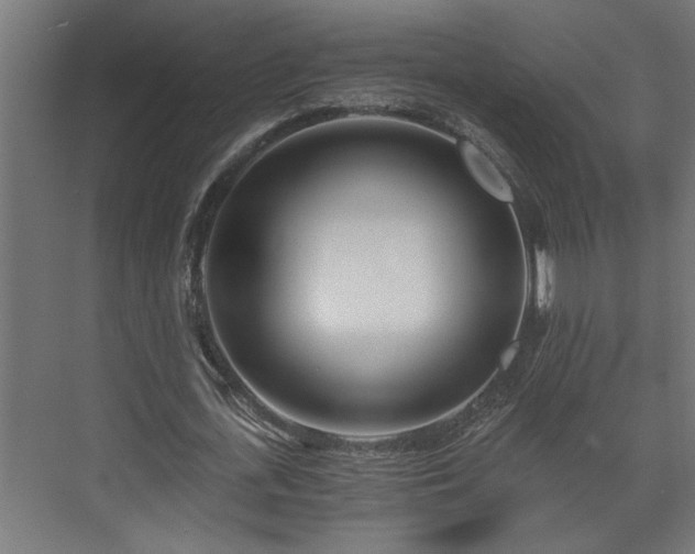 X0000073510723200608071055