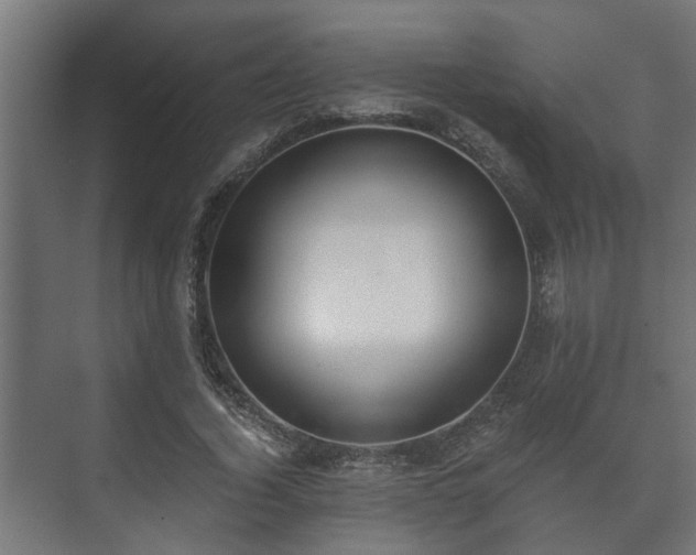 X0000073510732200608071055
