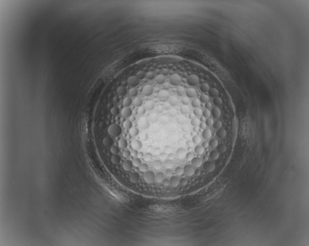 X0000073510733200608071055