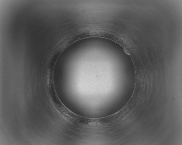 X0000073510744200608071055