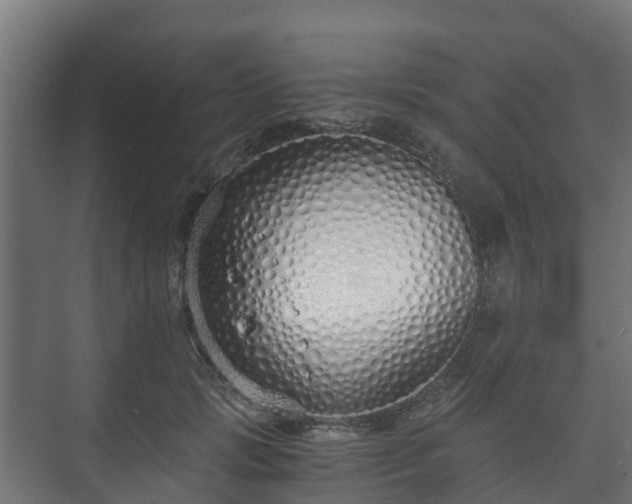 X0000073510749200608071055