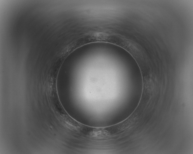 X0000073510752200608071055