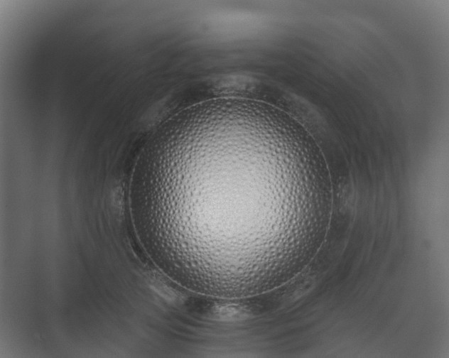 X0000073510753200608071055