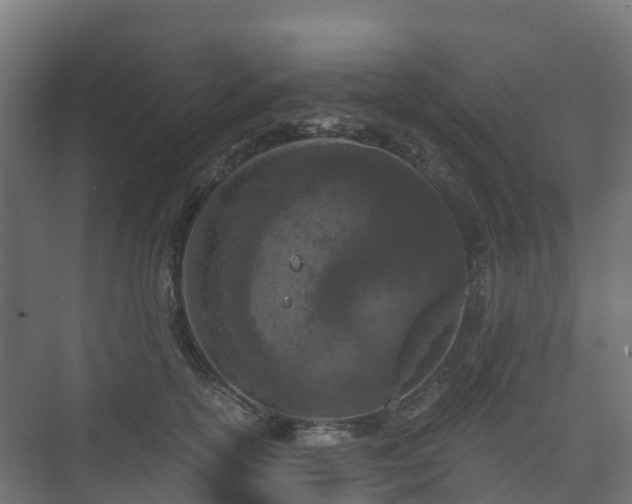 X0000073510754200608071055