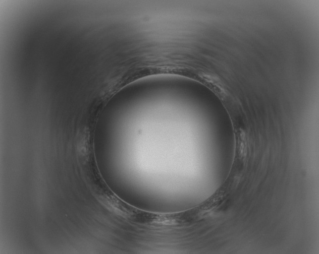 X0000073510760200608071055