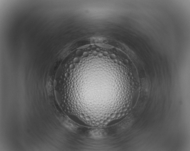 X0000073510761200608071055