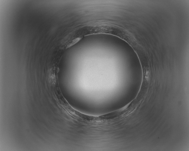 X0000073510771200608071054