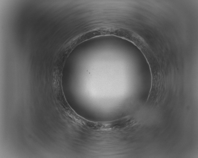 X0000073510773200608071054