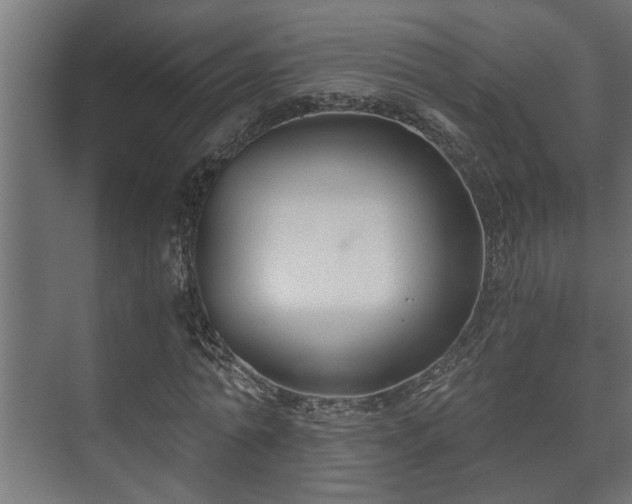 X0000073510774200608071054