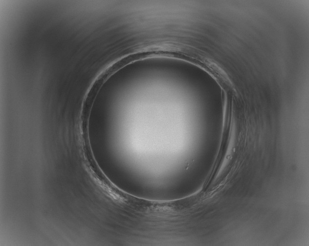 X0000073510784200608071054