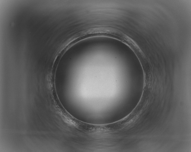 X0000073510786200608071054