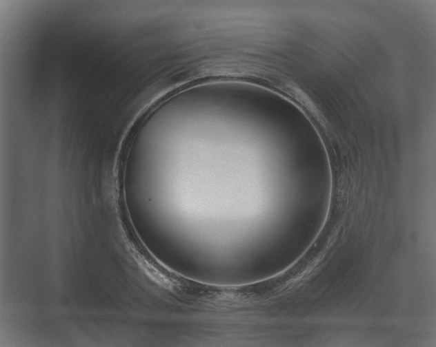 X0000073510787200608071054