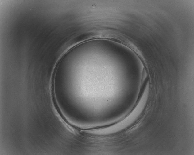 X0000073510803200608071054