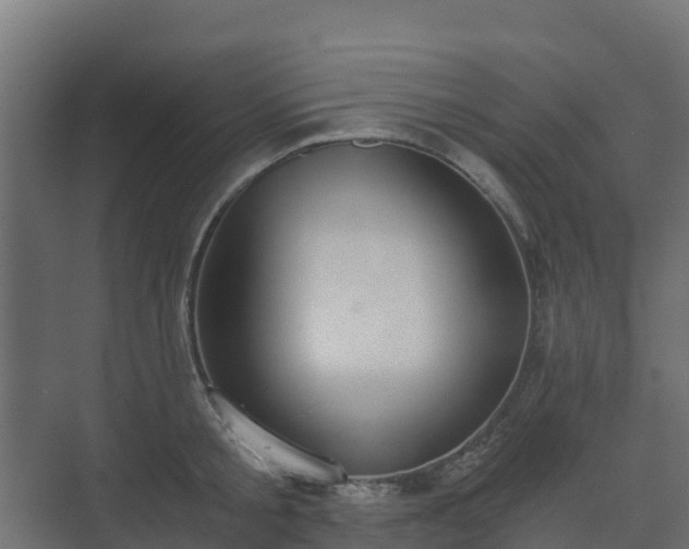 X0000073510805200608071054