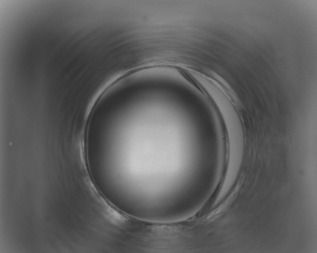 X0000073510812200608071054