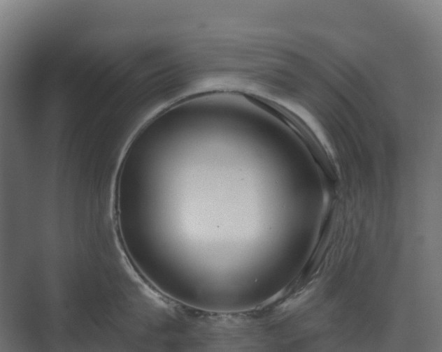X0000073510815200608071054