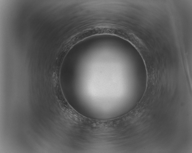 X0000073510821200608071053