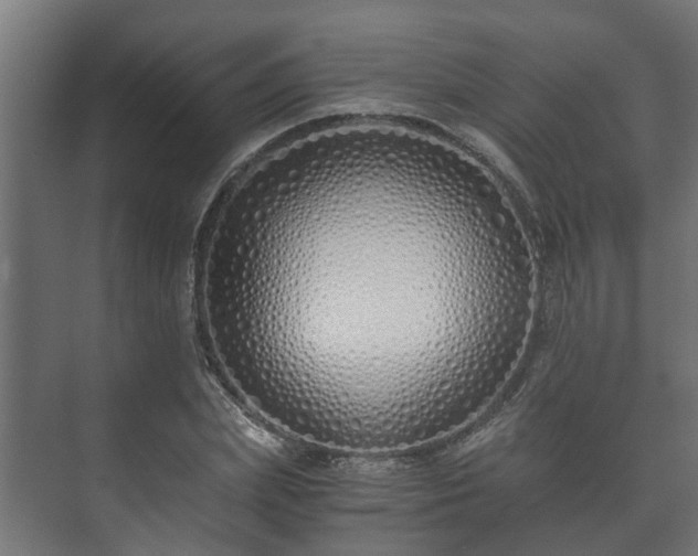 X0000073510831200608071053