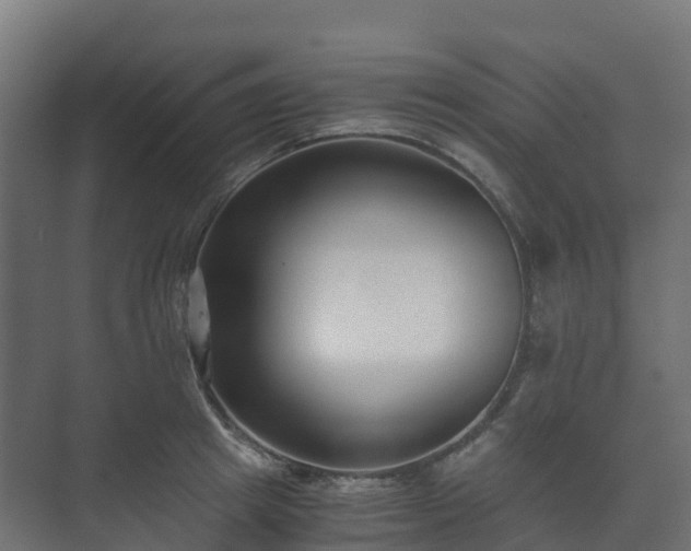 X0000073510849200608071053