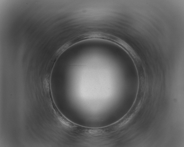 X0000073510857200608071054