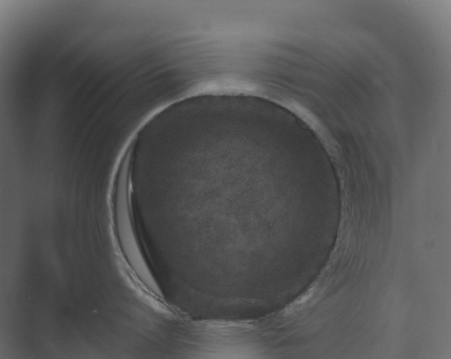 X0000073510864200608071054