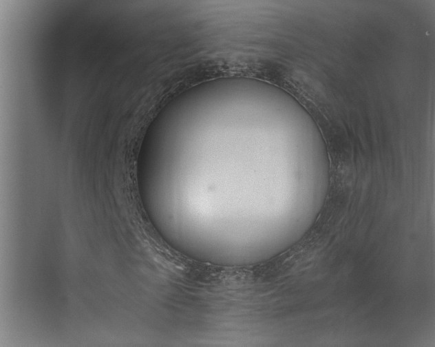 X0000073510865200608071053