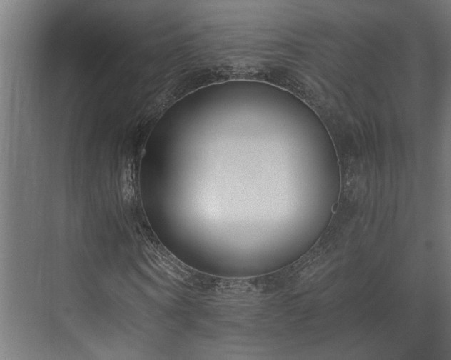 X0000073510866200608071053