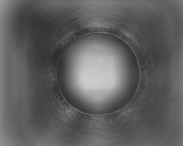 X0000073510870200608071053