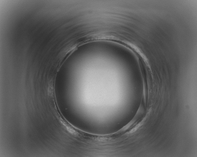 X0000073510897200608071052