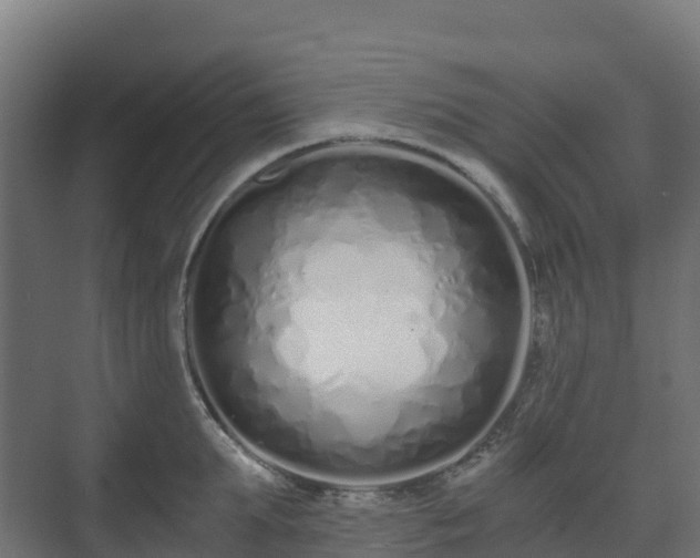 X0000073510903200608071052