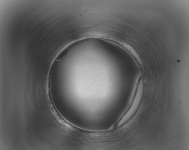 X0000073510904200608071052