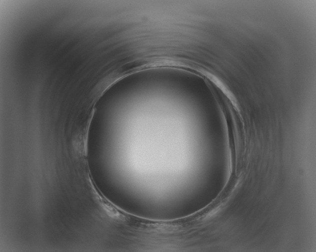 X0000073510905200608071052