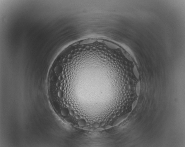X0000073510911200608071052