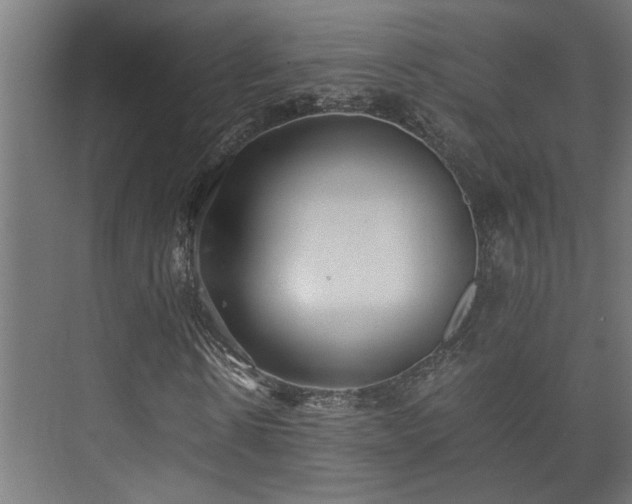 X0000073510914200608071051