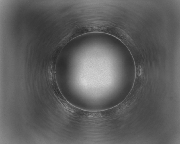 X0000073510915200608071051