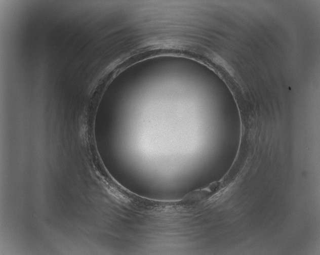 X0000073510922200608071051