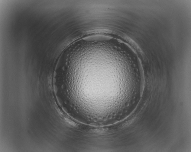 X0000073510937200608071052