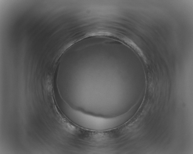 X0000073510945200608071052
