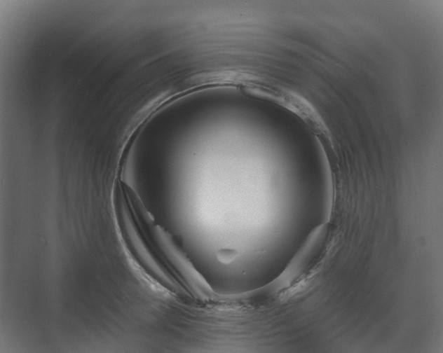X0000073510946200608071052