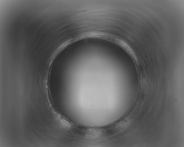 X0000073510954200608071052