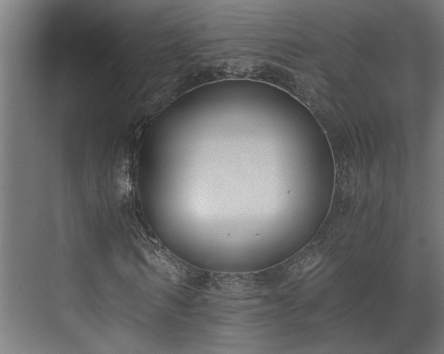 X0000073510962200608071051
