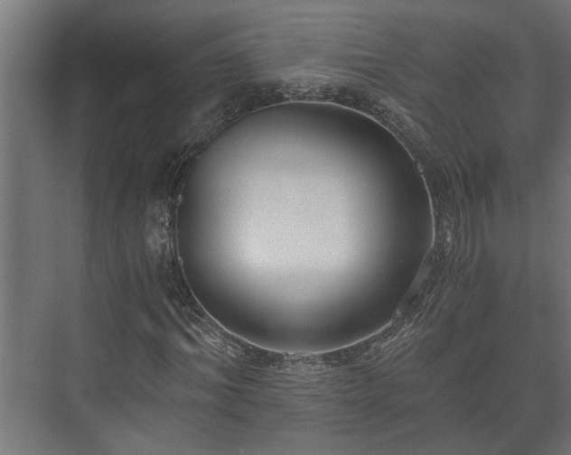 X0000073510964200608071051