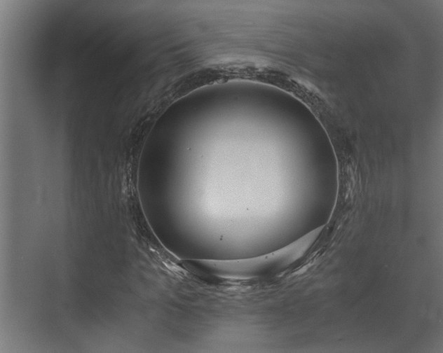 X0000073510965200608071051