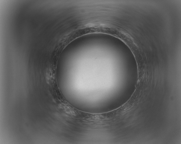 X0000073510966200608071051