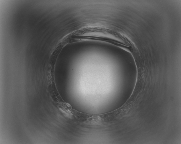 X0000073510968200608071051