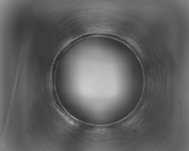 X0000073510982200608071051