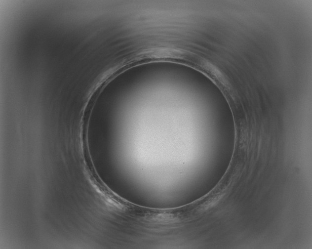 X0000073510986200608071051